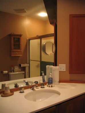 Combined shower/tub, hair dryer, towels, soap