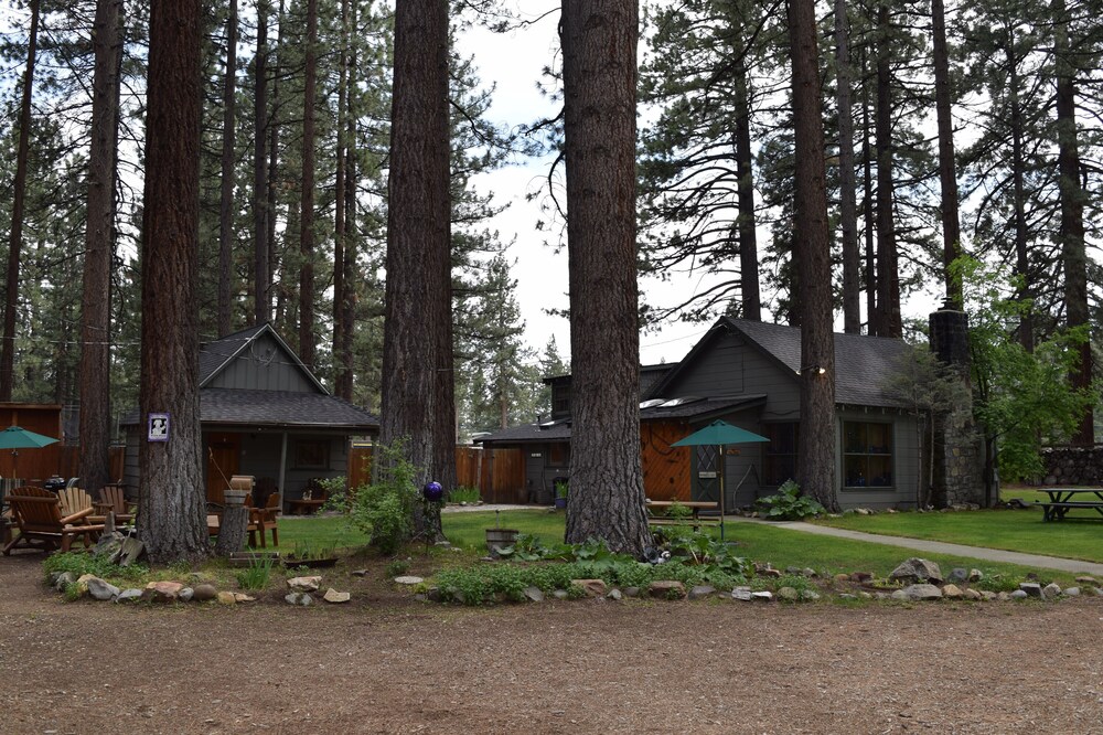 Dog Friendly Cabins