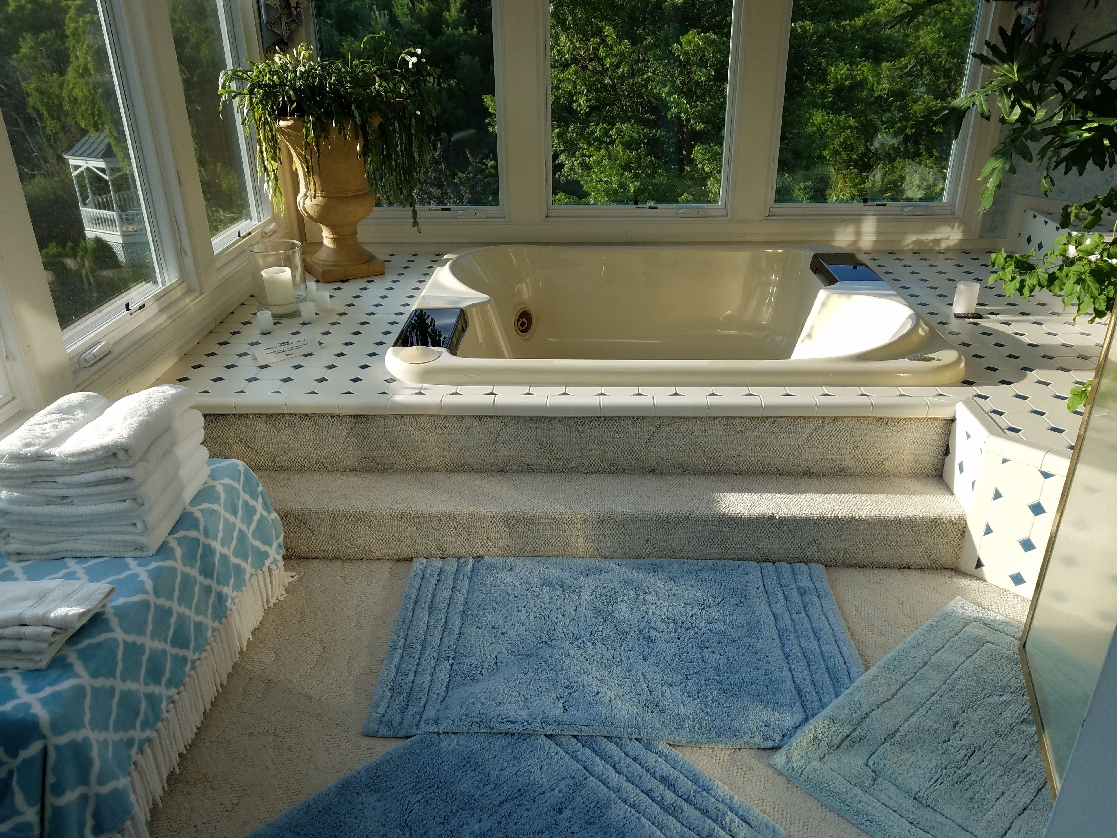 A sunlit room with a bathtub, a potted plant, and a view of trees through large windows.