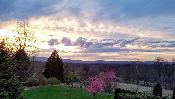 Ein grasbewachsenes Feld mit einer Satellitenschüssel, einem Baum mit rosa Blüten und einem fernen Gebirgszug unter bewölktem Himmel.