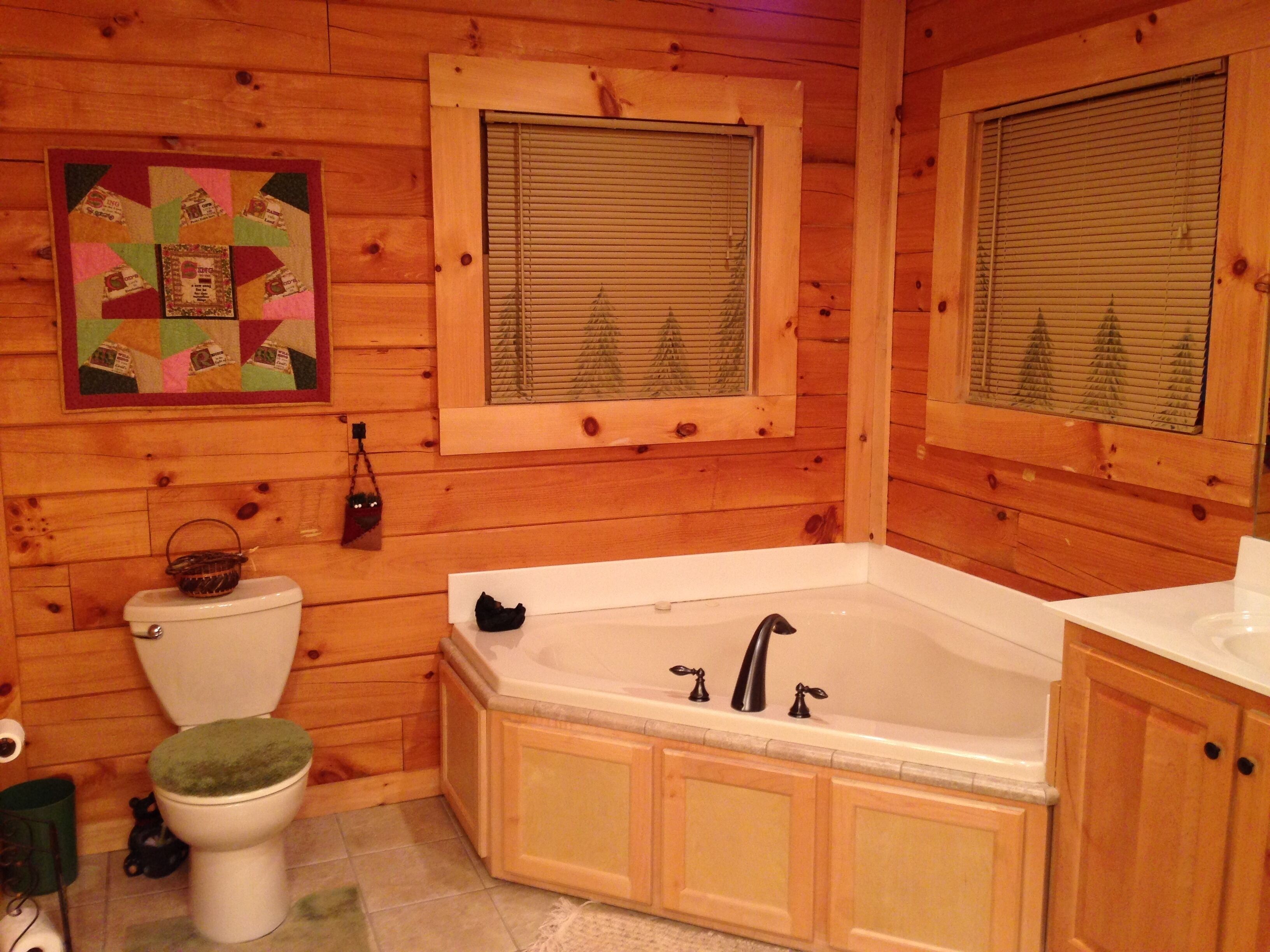 Awe-Inspiring Views / Spacious Cabin / Pickleball Court 