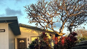 Una casa con el número 2588 en la fachada, una puerta principal y un gran árbol con hojas de colores en primer plano.