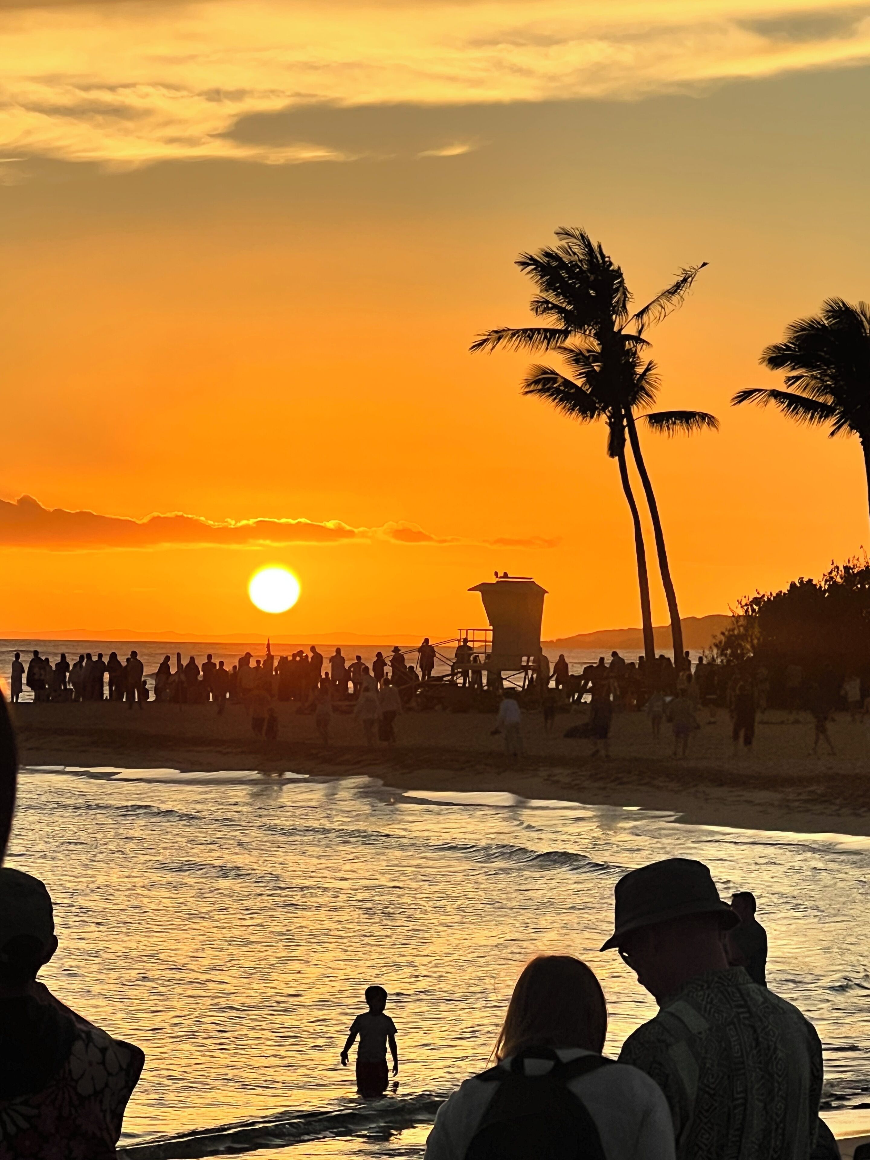 Escena de playa con gente, palmeras y una torre de salvavidas.