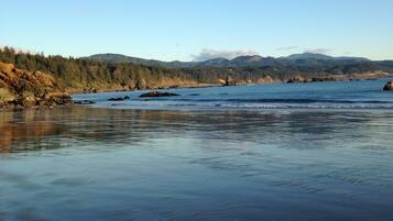 Beach nearby, sun loungers