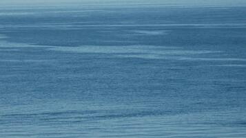 On the beach, sun loungers
