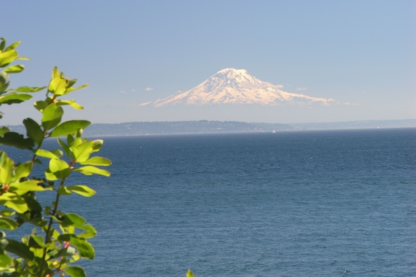 The view from South Beach Cozy Cottage!