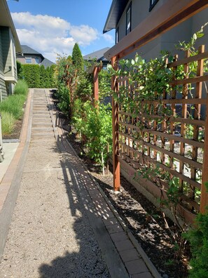 Stroll along the winding pathway to a charming home with a modern design.