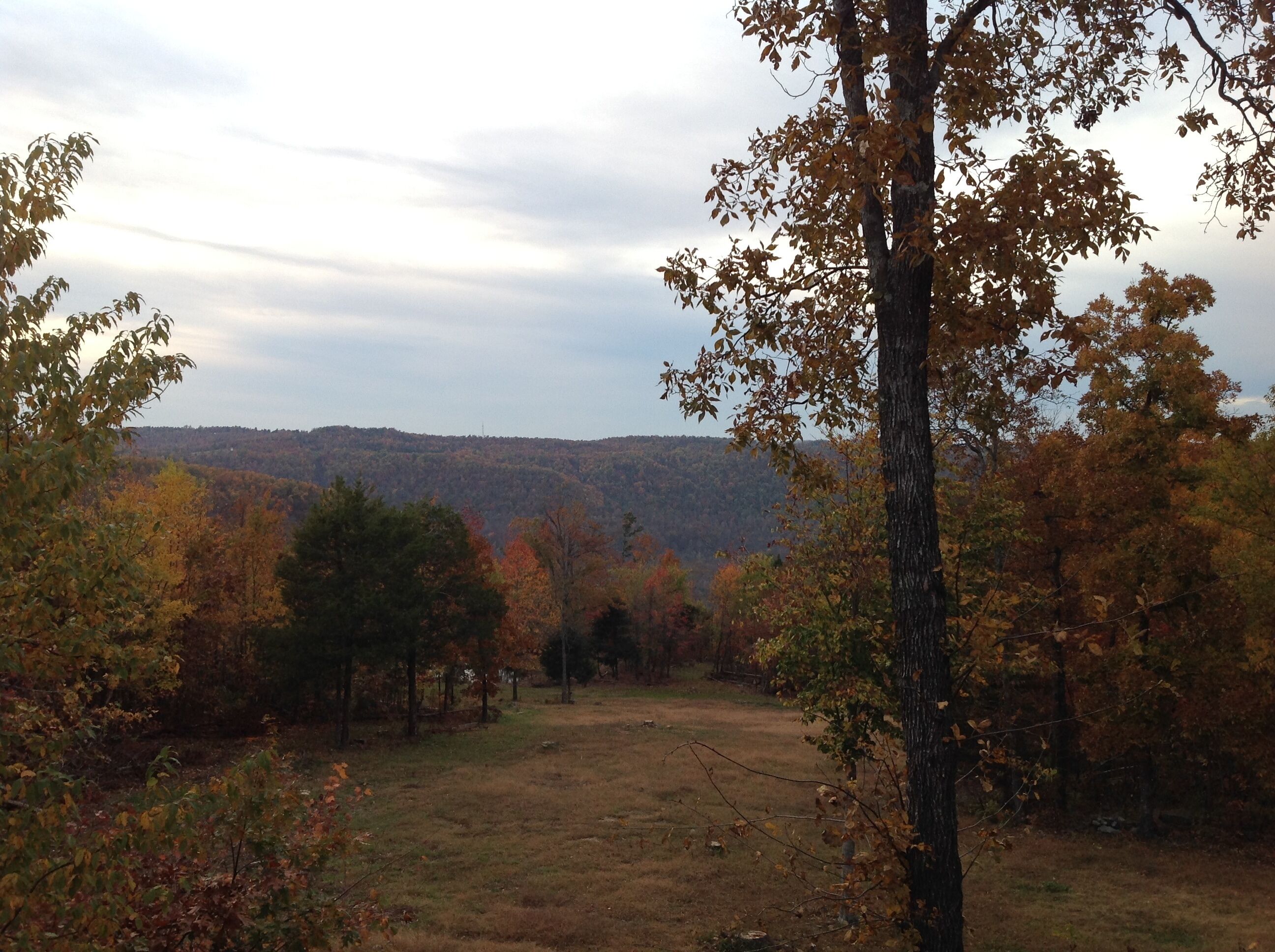 Dogwood Cabin of Deer Lodge Cabin Rentals is a Secluded Ozark Mointain