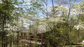 A rustic cabin with a wooden deck and a covered area, surrounded by dense trees and a clear sky. - Dogwood Cabin, Deer Lodge Cabin Rentals is a Secluded Ozark Mountain Log Cabin.  (Jasper)