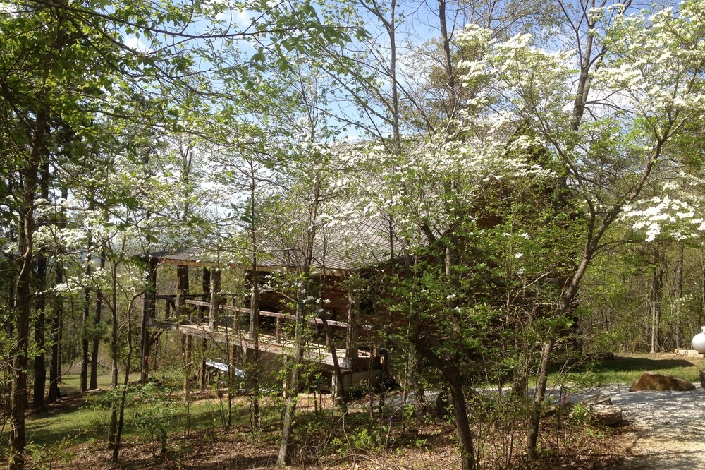 Dogwood Cabin of Deer Lodge Cabin Rentals is a Secluded Ozark Mointain Log Cabin