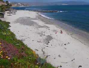Beach - Gigantic House-Great for Familes, Friends, Couples-Ocean Views-Steps to beach (Playas de Rosarito)