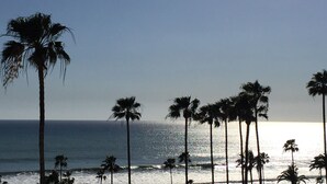 Una playa con palmeras y el océano.
