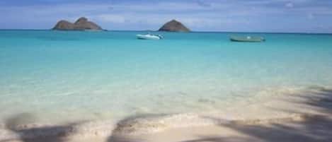 Chaises longues, serviettes de plage
