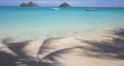 Footsteps to Hawaii's Best Beach