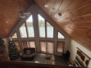 TV, fireplace, video games, DVD player