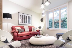 TV connectée, cheminée, lecteur de DVD, livres