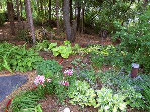 Jardines del alojamiento
