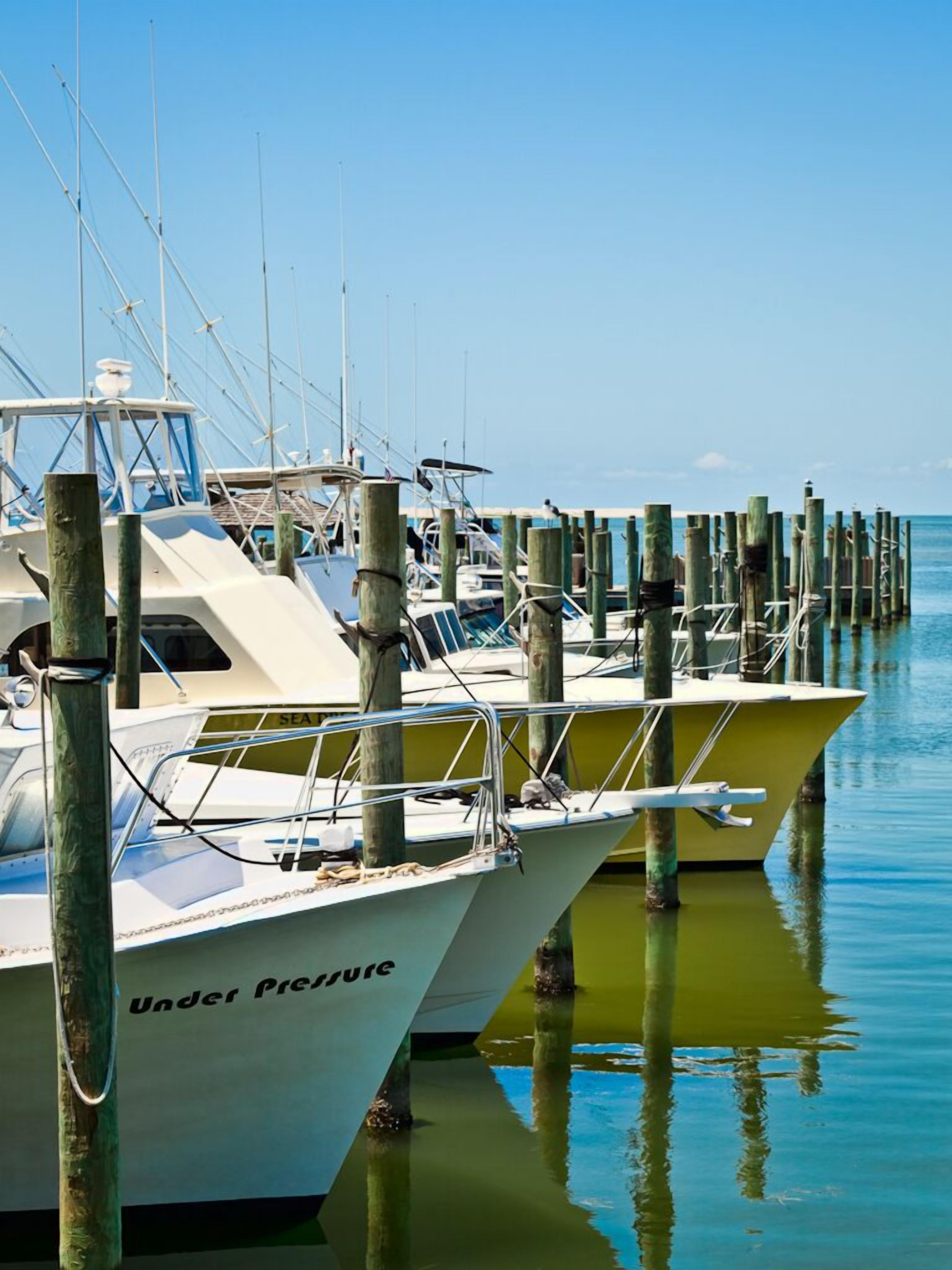 Port de plaisance