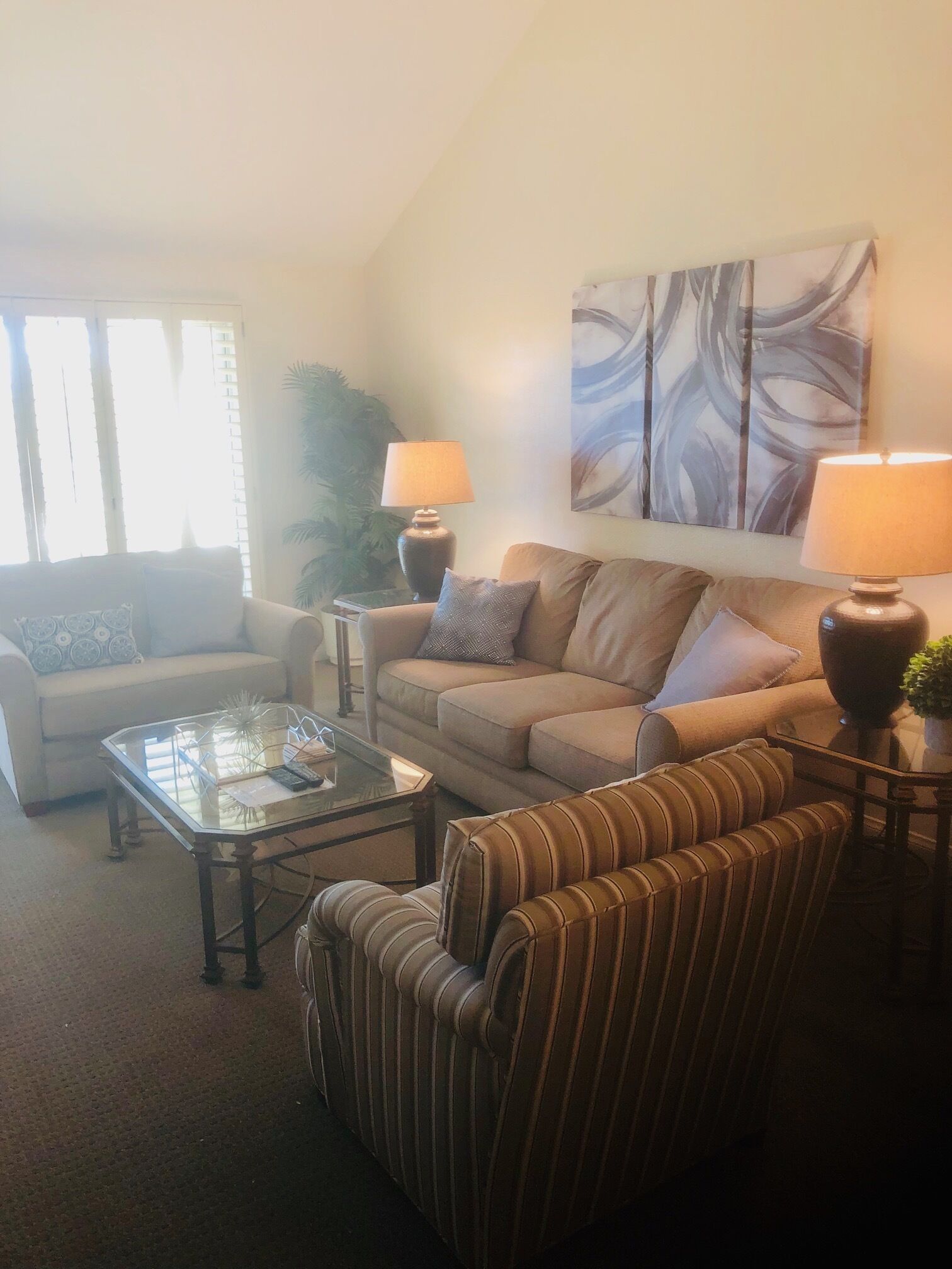 智能电视、壁炉、DVD 播放器