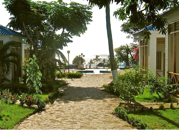 A stone pathway leading to a pool area surrounded by lush greenery and palm trees.
