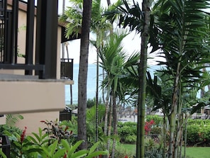 Un jardín tropical con palmeras y diversas plantas, un balcón con barandilla y vista al océano.