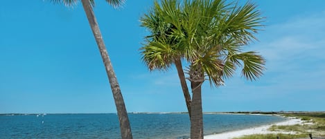 Plage
