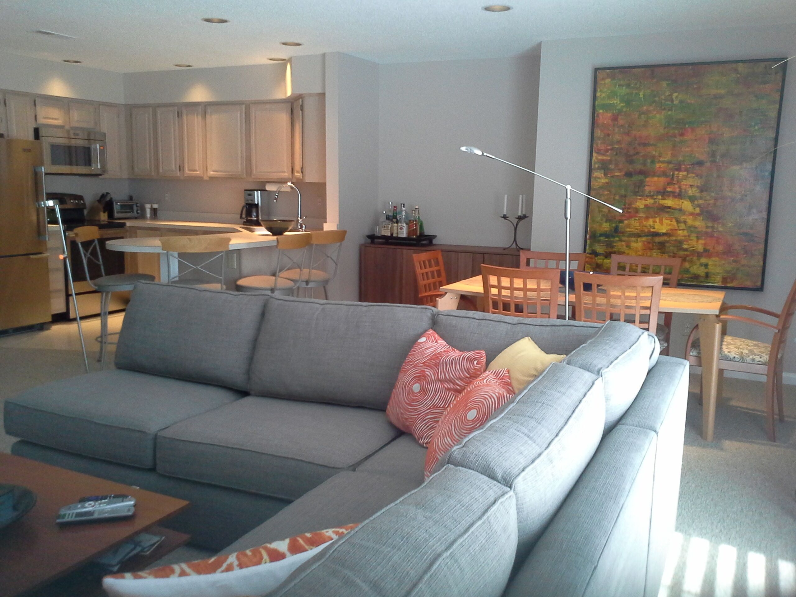 Télévision, cheminée, lecteur de DVD, livres