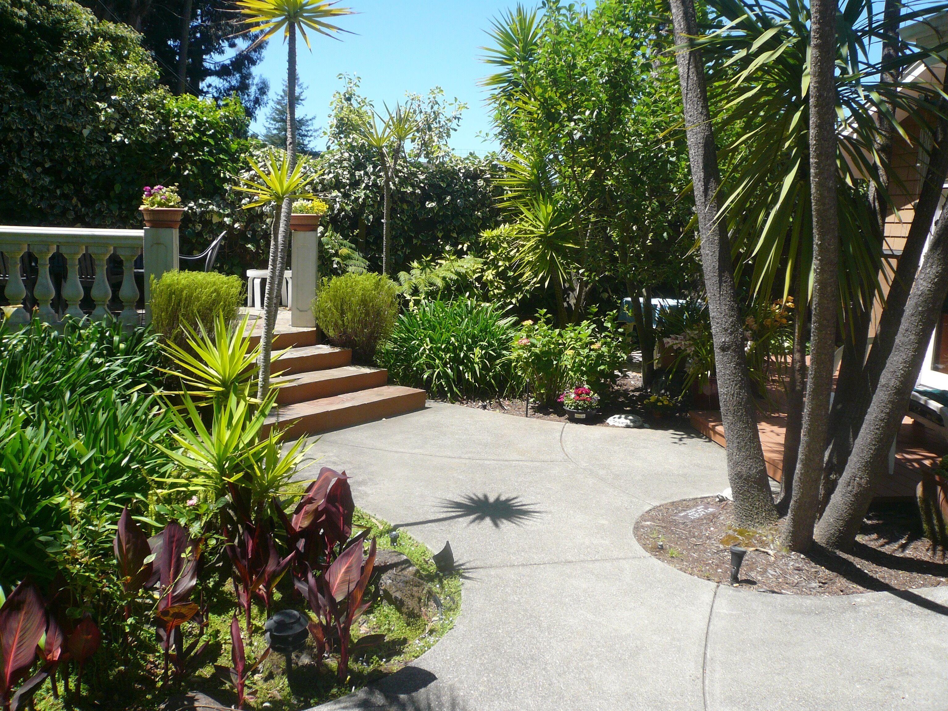 Charming, peaceful 1 Bedroom Mill Valley Cottage