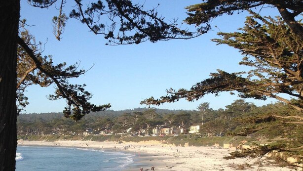 A beach with a wooden staircase leading down to the shore, surrounded by trees and a clear sky. - Steps To Carmel Beach, in the golden rectangle. The perfect location! (Carmel-by-the-Sea)