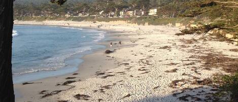 Plage à proximité, chaises longues, serviettes de plage