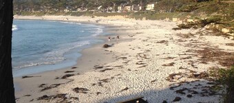 Steps To Carmel Beach, in the golden rectangle. The perfect location!