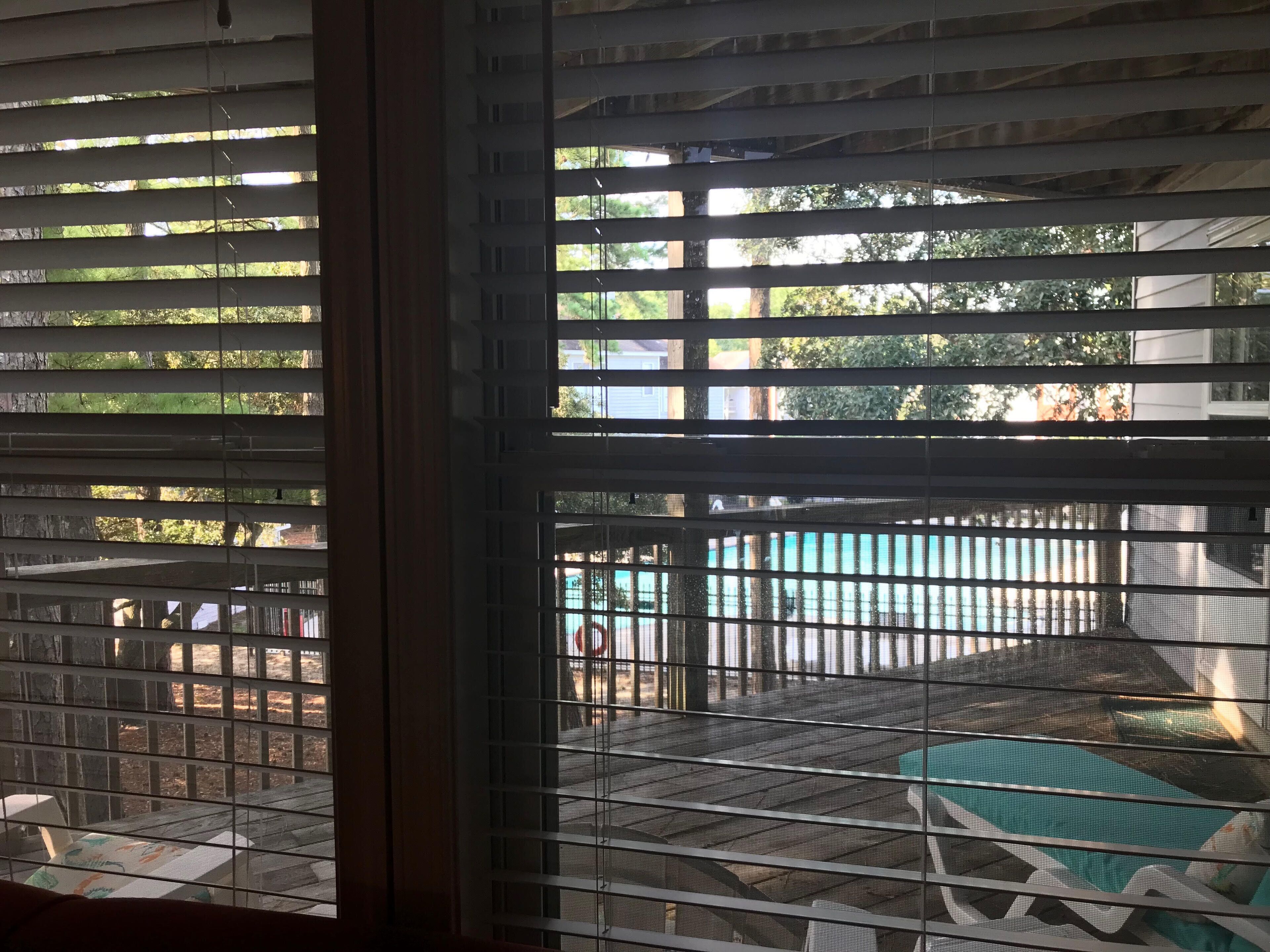 View of pool from living room