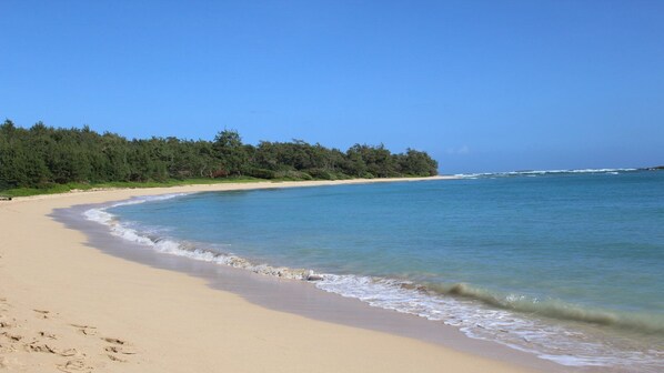 Playa en los alrededores, camastros y toallas de playa 