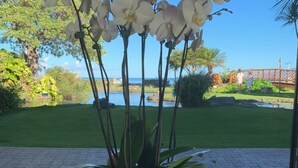 A potted orchid with a view of a lush garden and a bridge. - Amazing Ocean/Mountain Views. Beautifully.One From Oceanfront (Lahaina)