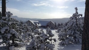 Un paysage enneigé avec une maison entourée d’arbres.