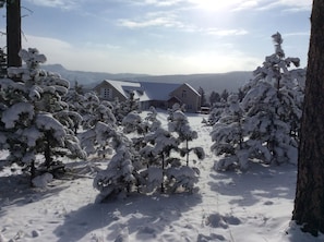 Surrounded by snow-covered trees, this serene two-story house offers a peaceful retreat.
