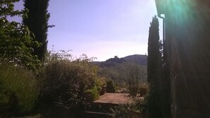Property grounds - Historical Villa In Tuscany With Pool (Civitella in Val di Chiana (Arezzo))