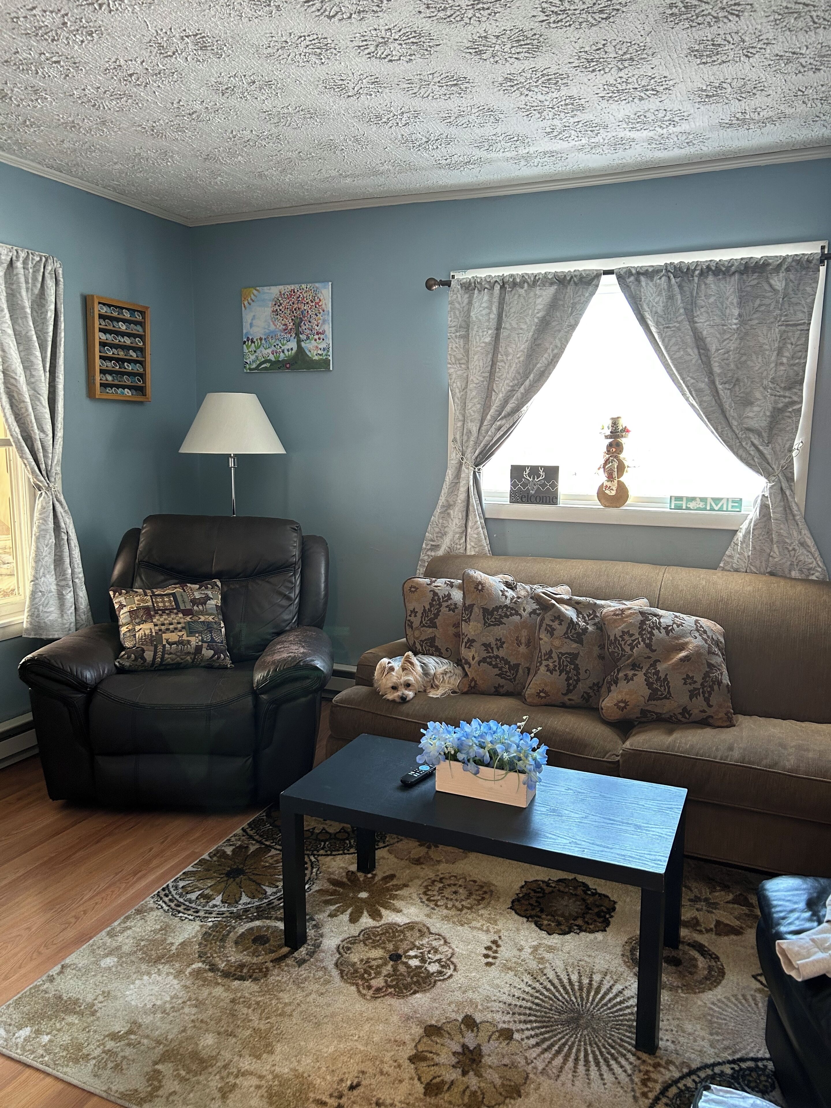 Smart TV, video games, DVD player, books