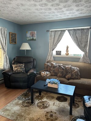 Smart TV, video games, DVD player, books