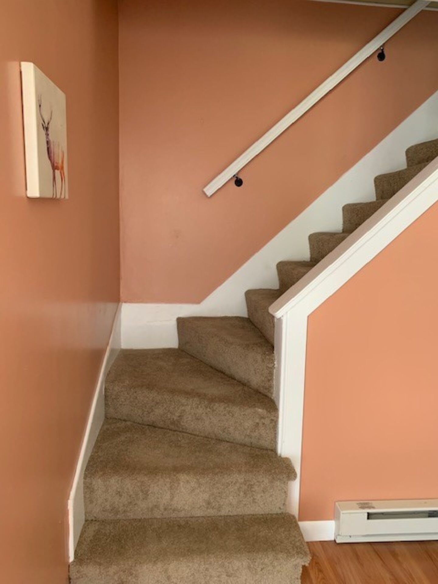 Un escalier dont les marches sont recouvertes de moquette, avec des rampes blanches et un tableau accroché au mur.