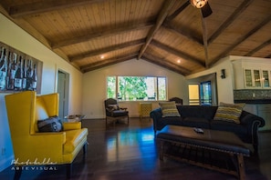 Smart TV, fireplace, DVD player, books