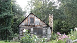 Un chalet rustique en rondins de bois, doté d’une cheminée en pierre, entouré d’une végétation luxuriante et de plantes en fleurs.
