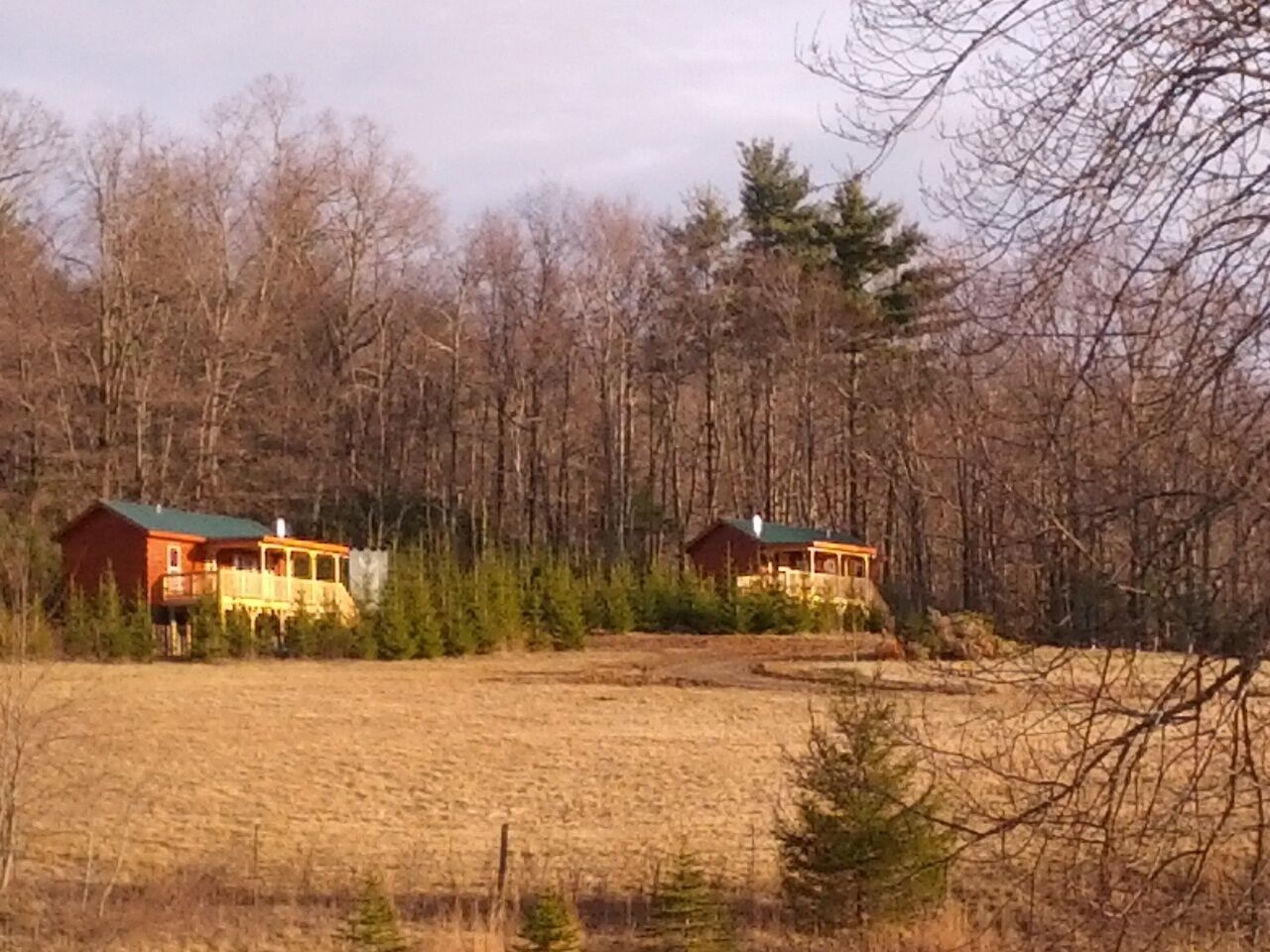 Two cabins in a forested area with a clear sky.
