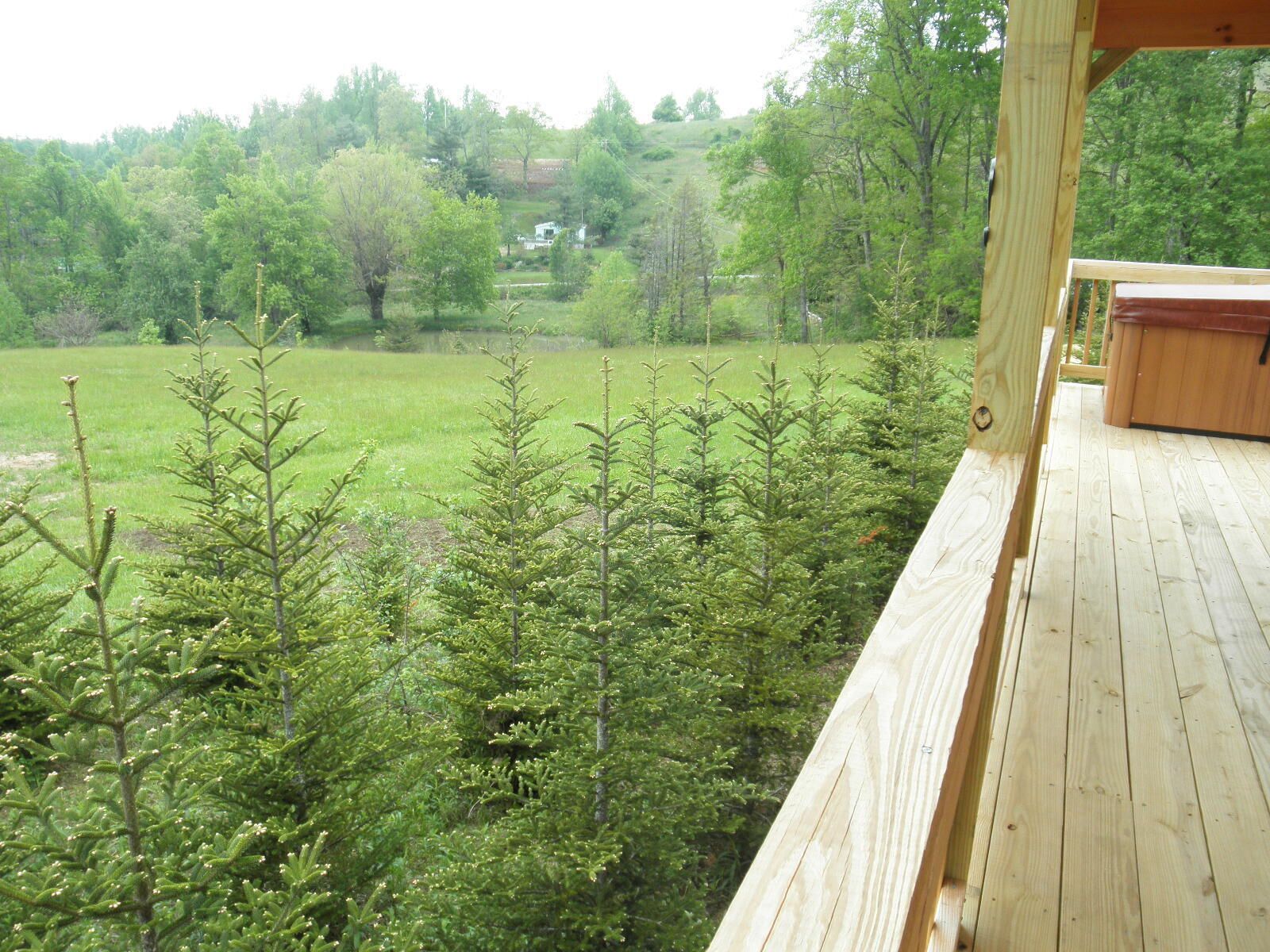 Eine Holzterrasse mit Blick auf ein bewaldetes Gebiet und ein Haus in der Ferne.