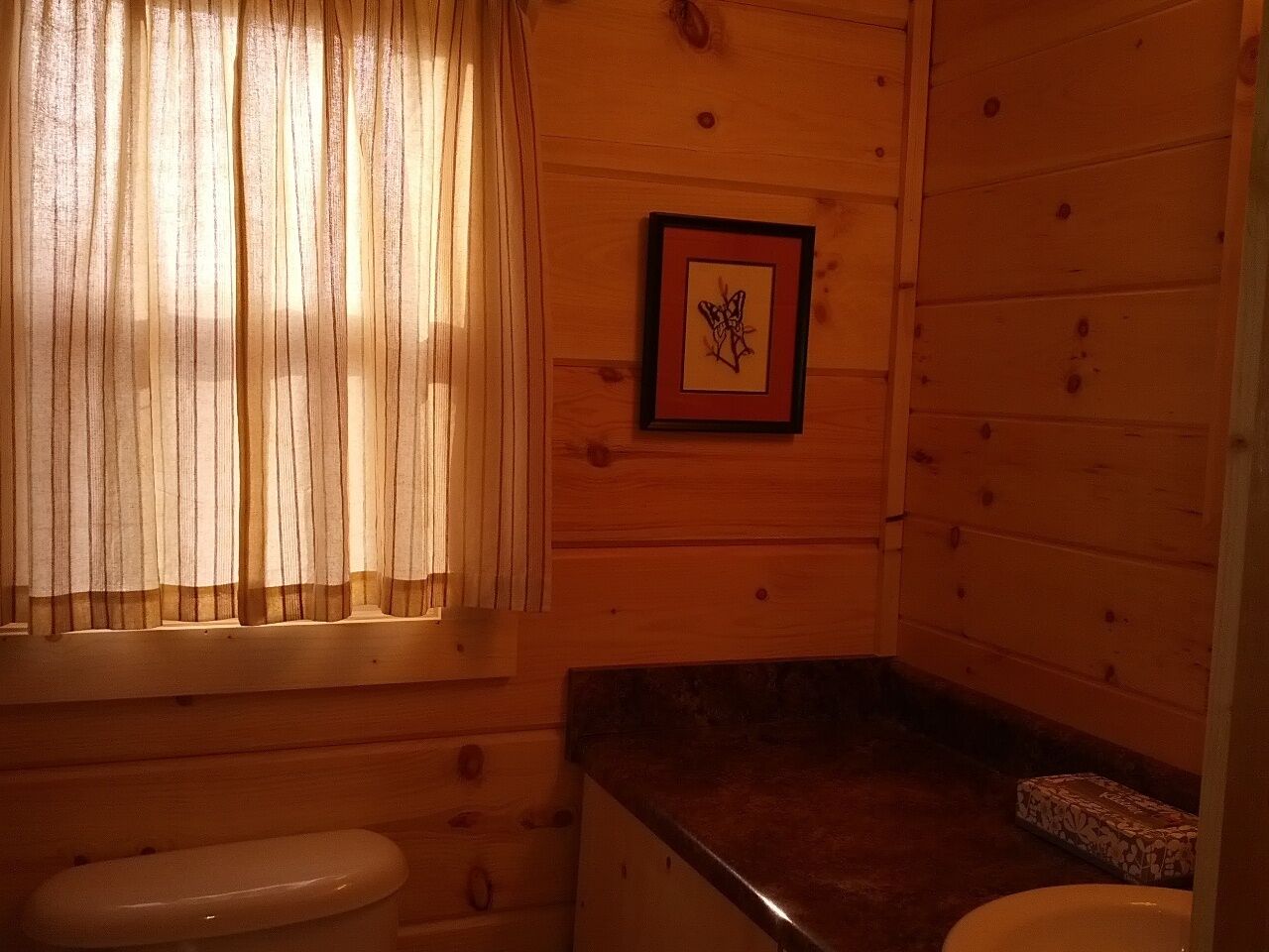 A wooden cabin bathroom with a toilet, a sink, and a framed picture on the wall.