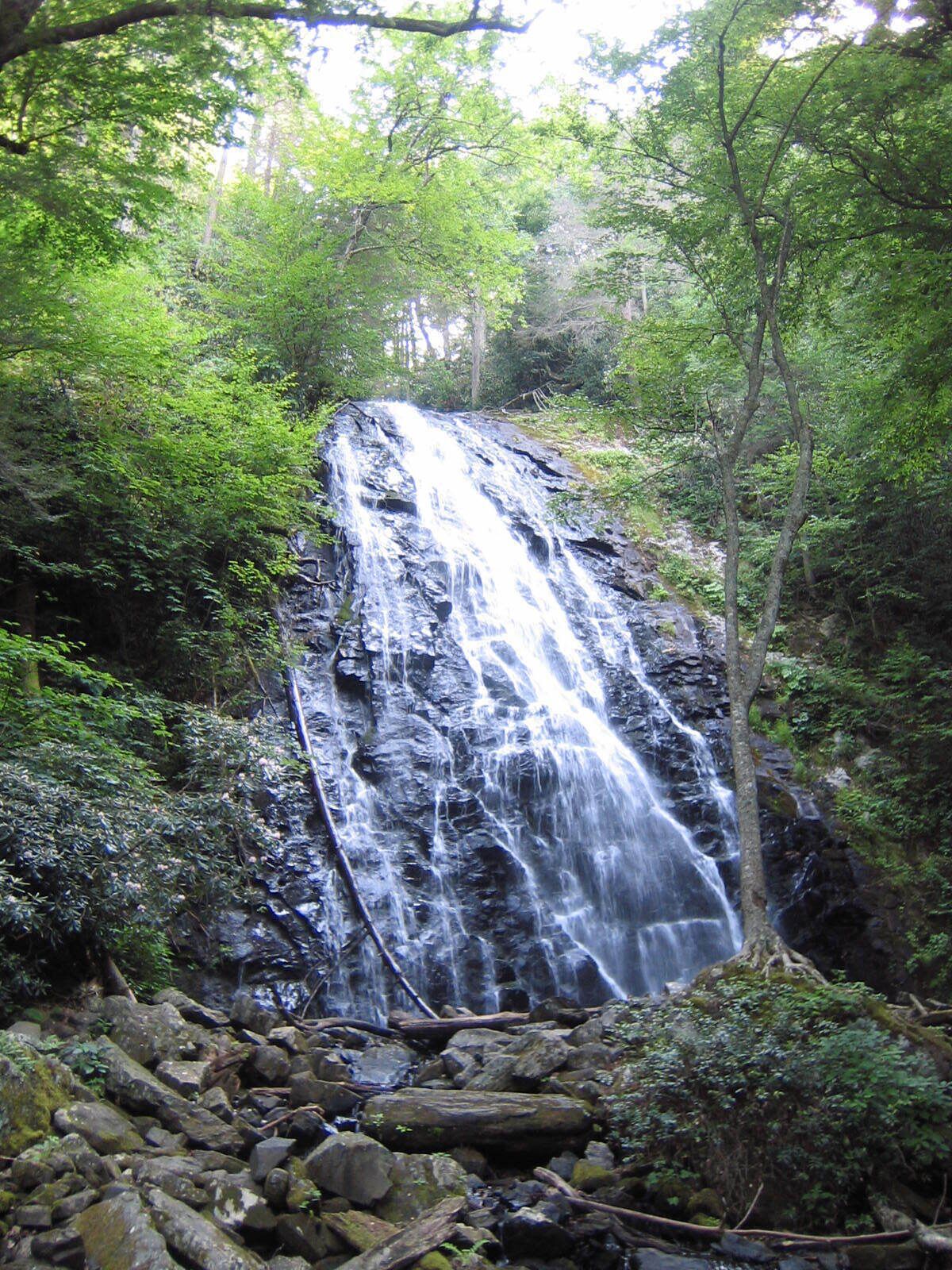 A waterfall surrounded by dense forest.