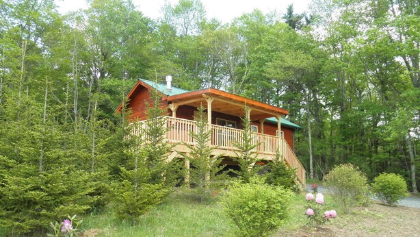 Une cabane dotée d’une terrasse en bois et d’un toit végétalisé, entourée d’une forêt dense.