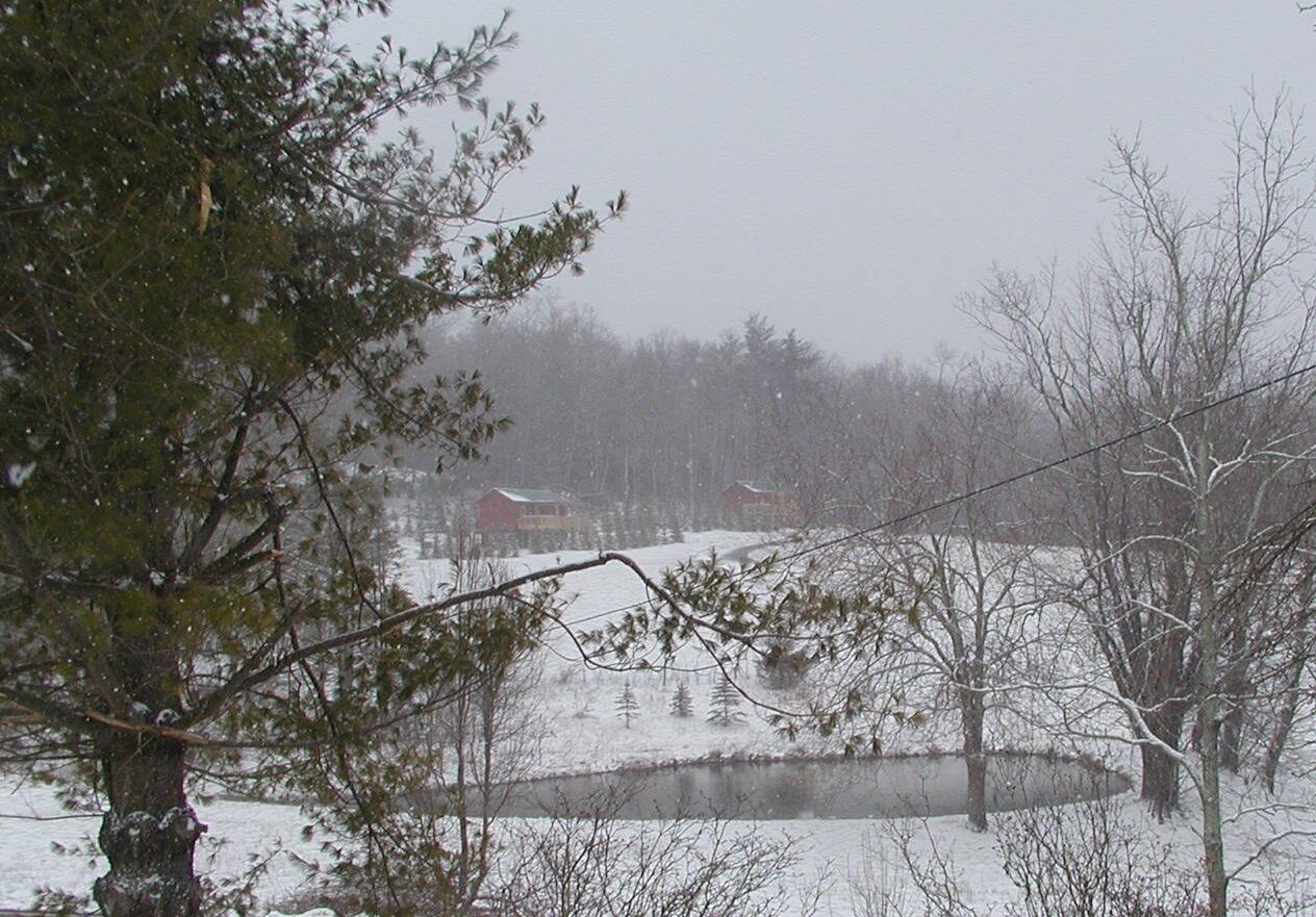 A snowy landscape with a pond, trees, and buildings in the background.