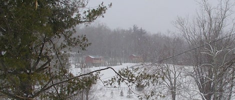 A snowy landscape with a pond, trees, and buildings in the background.