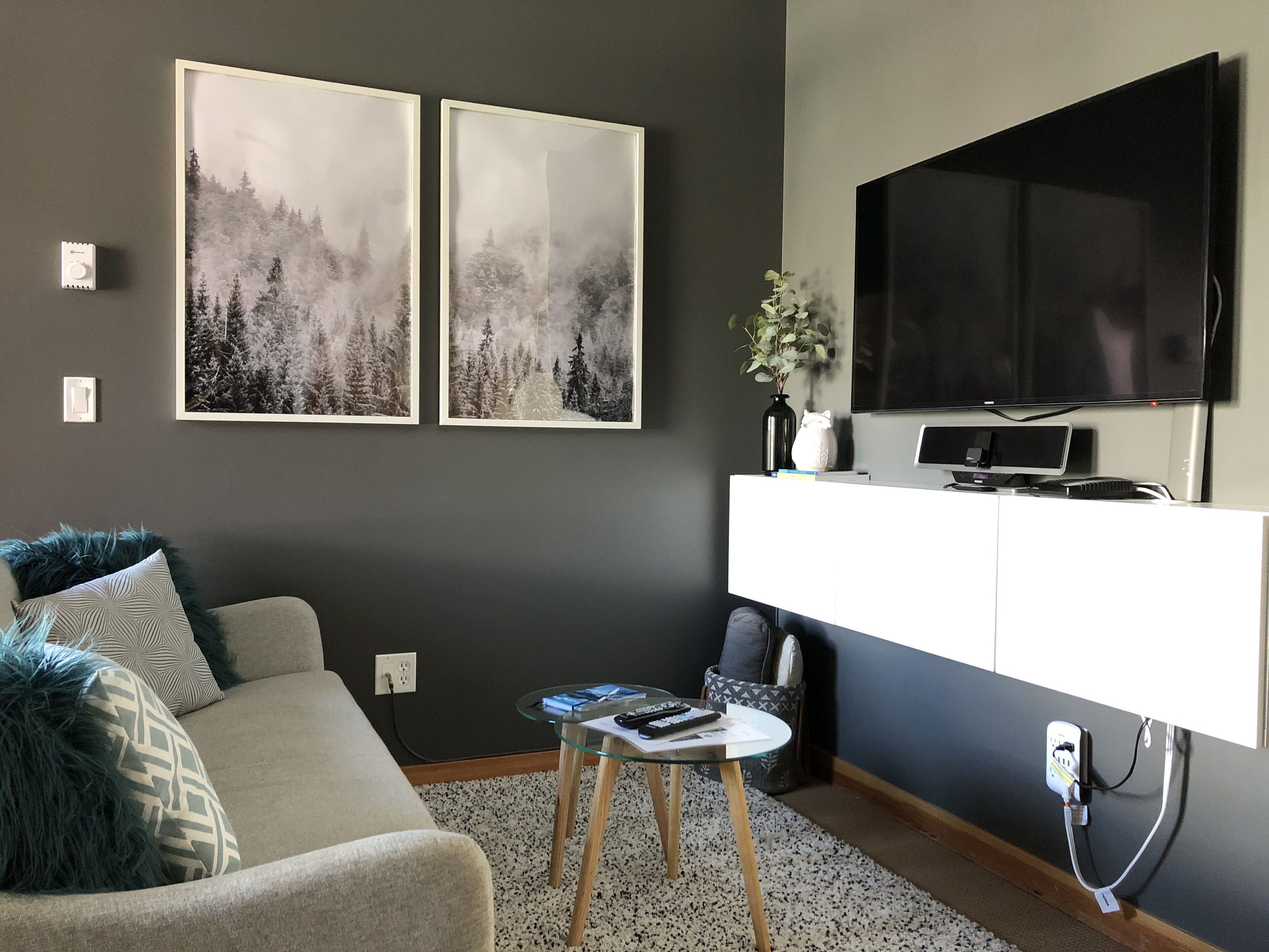 Una sala de estar moderna con un sofá gris, una mesa de centro, un televisor de pantalla plana y dos cuadros en la pared.